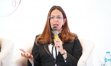 مدير المركز الديموجرافي: خمسة محاور لتمكين المرأة اقتصاديا 