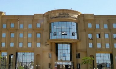 حيثيات الحكم على طبيب الكركمين أحمد أبو النصر