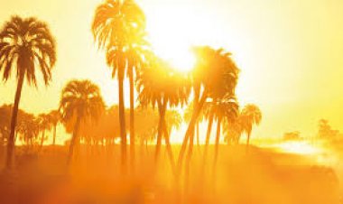 الأرصاد: الطقس مائل للحرارة  نهارا غدا الجمعة