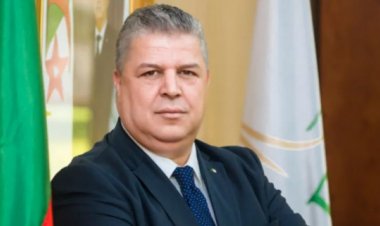 استقالة رئيس الاتحاد الجزائري.. ويطالب «بلماضي» بالاستمرار