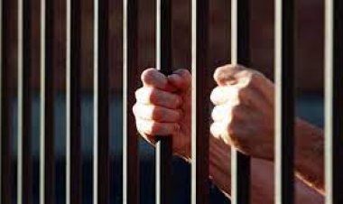 تجديد حبس المتهم بإصابة طفل بطلق خرطوش في القاهرة