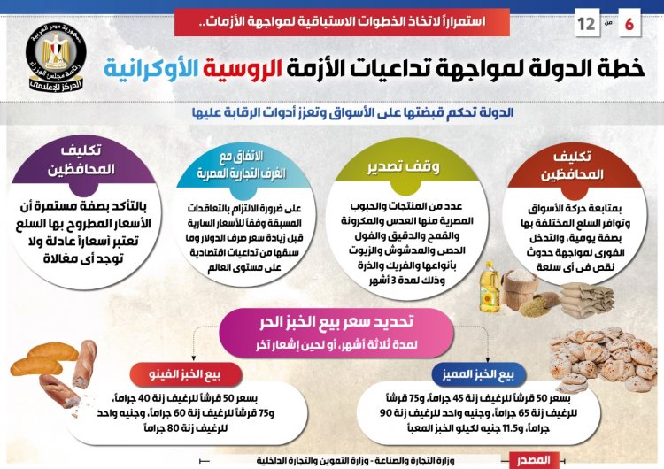 خطة مصر لمواجهة الكوارث الاقتصادية من تداعيات الحرب الروسية الأوكرانية