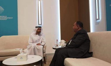 وزير المالية يلتقي نظيره الإماراتي لبحث سبل تعزيز التعاون الاستثماري بين البلدين