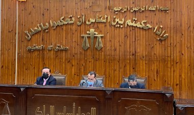 تأجيل جلسة محاكمة كريم الهواري المتسبب في حادث الشيخ زايد لجلسة 7 مايو