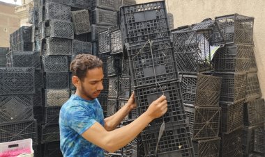 الشريف يوجه بتكثيف الحملات المكبرة لإزالة الإشغالات فى أحياء الإسكندرية