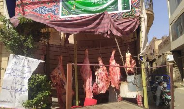 لجنة الوفد بالأقصر تفتتح معرضًا لبيع اللحوم بأسعار مخفضة طوال شهر رمضان 