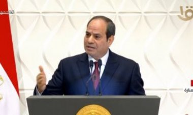 بعد تصديق الرئيس عليه.. تعرف على قانون  تعجيل استحقاق العلاوات الدورية