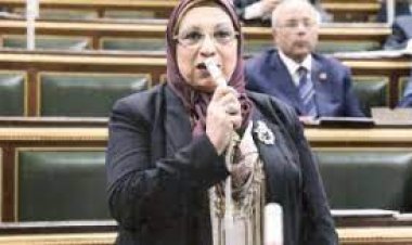 النائبة إيناس عبد الحليم: «الاختيار 3» يبرز دور القوة الناعمة في محاربة الإرهاب