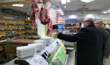 محافظ الإسكندرية : تحرير 1473 محضر تمويني خلال شهر