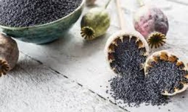 بعد «شيكولاتة المخدرات».. تعرف هل بذور الخشخاش مخدرة أم لا؟