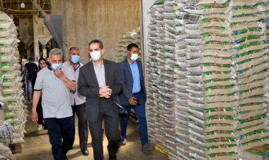 محافظ الغربية يتفقد مضارب الأرز ومصانع تعبئة السكر بطنطا