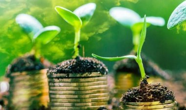 «التمويل الدولية» تقدم  100 مليون دولار للبرازيل لدعم مشروعات المناخ والاقتصاد الأخضر 