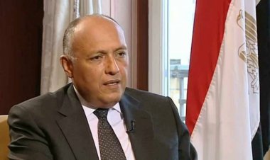 مصر ترحب بقرار إنشاء مجلس رئاسي في اليمن