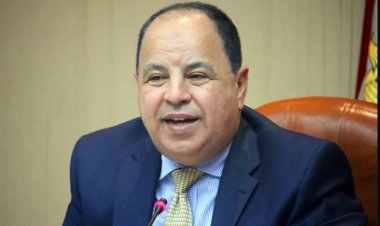 وزير المالية: مصر سارعت بتخصيص 100 مليار جنيه لدعم للنشاط الاقتصادي والفئات الأكثر تضررًا