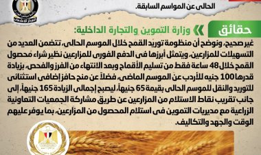الحكومة تنفي شائعة تعقيد إجراءات توريد محصول القمح من المزارعين