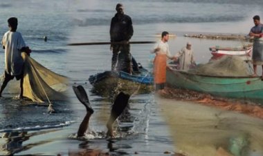 أحكام بالسجن من 3 إلى 15 سنة لـ5 صيادين أنهو حياة زميلهم بالإسكندرية