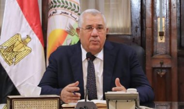 بشرى سارة.. الزراعة توفر الطماطم بسعر 10 جنيهات للكيلو 