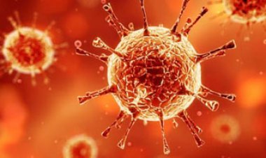 اليابان تسجل أول إصابة بمتحور أوميكرون «إكس إي» الجديد