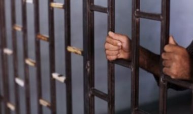 السجن المشدد 7 سنوات لـ5 أشخاص بتهمة الاعتداء والتنمر على مريض نفسي بالهرم