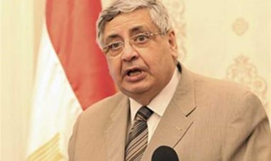 مستشار رئيس الجمهورية لـ«العاصمة»: المتحور المؤتلف متوقع وصوله إلى مصر