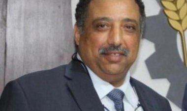 نائب رئيس غرفة الحبوب للعاصمة: شحنات القمح الروسي لمصر مستمرة .. والأوكراني في الطريق قريبًا