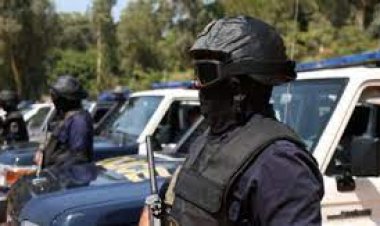 القبض على شخصين بتهمة الاعتداء على أحد المطاعم الشهيرة بالجيزة