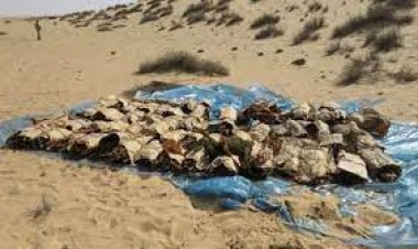 ضبط 4500 كيلو «بانجو» داخل 31 مخزن بصحراء الإسماعيلية