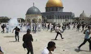 مركز «فلسطين» لدراسات الأسرى: سلطات الاحتلال الإسرائيلي اعتقلت 19 طفلًا قاصرًا