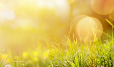 أجواء حارة.. تعرف على حالة الطقس اليوم السبت