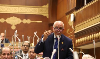 برلماني: وعي المصريين أجهض مخططات الإخوان