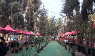 غدا.. افتتاح خيمة رمضانية في حديقة الاورمان على هامش معرض الزهور 