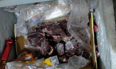 حملات مكبرة على الأسواق وضبط 3 طن أغذية غير صالحة للاستهلاك الآدمي بالغربية