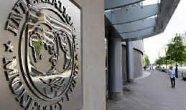 النقد الدولي: تراجع الناتج المحلي الإجمالي 2022 بنسبة 86%