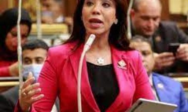 برلمانية تطالب بتشكيل لجنة متابعة للهيئات الاقتصادية الخاسرة