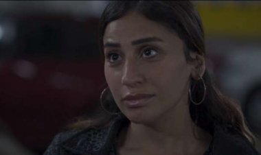 الحلقة السابعة عشرة من «المشوار».. شكوك حول علاقة ورد ووجيه الشوربجي