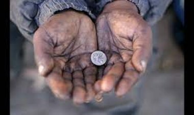 القبض على عصابة استغلت الأطفال في التسول بشبرا الخيمة