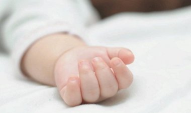 مصرع طفلة دهستها سيارة في كفر الشيخ