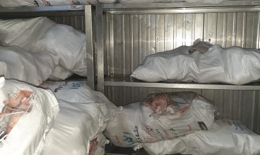 ضبط 2.5 طن دواجن غير صالحة للاستهلاك الآدمي في الأقصر