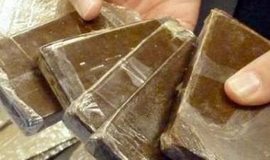 بحوزتهما 200 طربة حشيش.. القبض على عاطلين لترويجهما المواد المخدرة في الإسكندرية