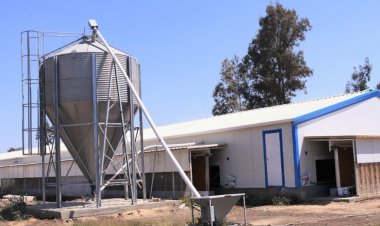 محافظ الغربية يتفقد مشروع محطة «إنتاج البيض»