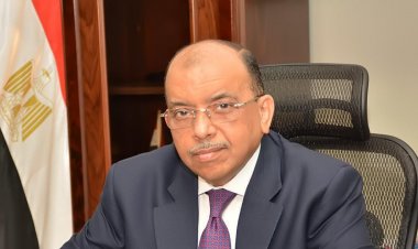 التنمية المحلية: رفعنا 85 ألف طن مخلفات من المجاري المائية بـ21 محافظة