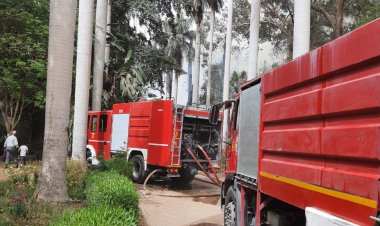 بالصور.. نشوب حريق بحديقة الأورمان بالجيزة والدفع بـ3 سيارات إطفاء لإخماده