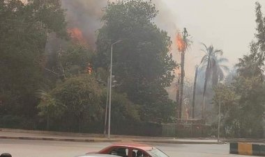 التفاصيل الكاملة لحريق حديقة الأورمان في شم النسيم