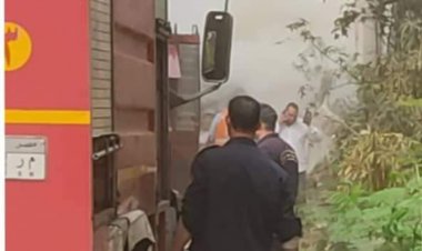 الزراعة: السيطرة على حريق حديقة الأورمان.. ولا خسائر فى الأشجار النادرة