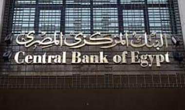 البنك المركزي: 16 مليون سيدة لديهن حسابات مالية بنكية