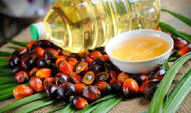 أزمة غذاء عالمية جديدة بعد وقف اندونيسيا  صادرات زيت الطهي