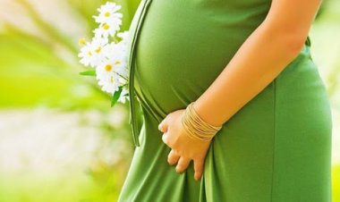 تحذيرات من الأمن الصحي فى بريطانيا عن خطورة أكل المرأه الحامل أسماك مملحة 