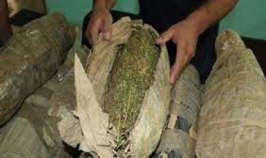 سقوط عنصر إجرامي بحوزته 4 كيلو بانجو وسلاح ناري بالقاهرة