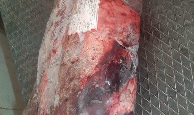 الطب البيطري يضبط 10 طن لحوم ودواجن فاسدة في الأقصر