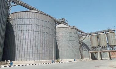 محافظ البحيرة: انتهينا من توريد  265  طن قمح لشون وصوامع المحافظة